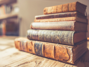 Bucheinbandstoff Leder